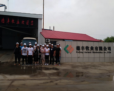 德豐牧業(yè)全體員工向全國人民問好！